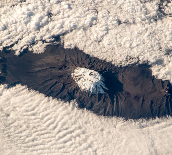 Kilimanjaro