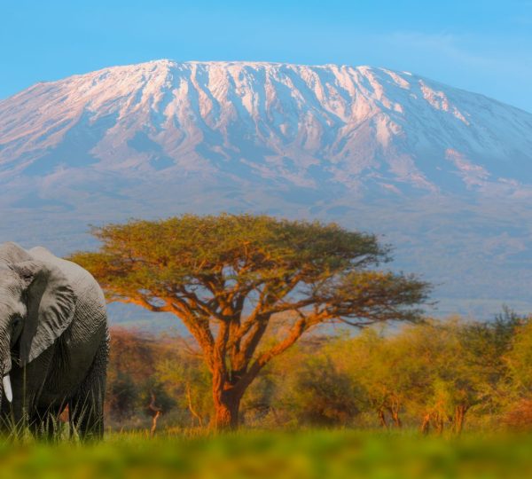 Kilimandjaro