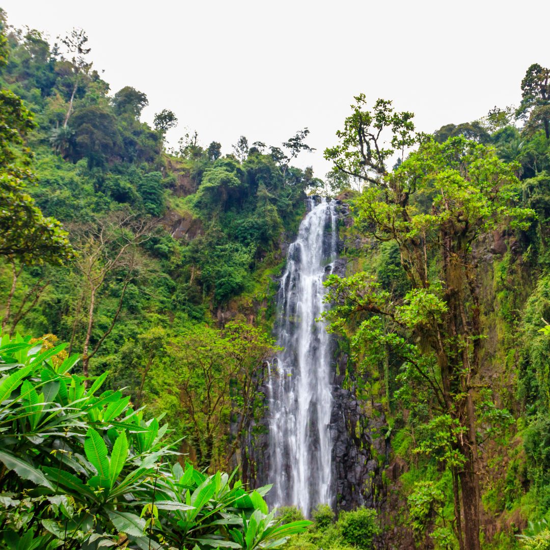 Les chutes de Materuni