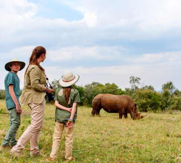 Observation des Rhinocéros en Tanzanie