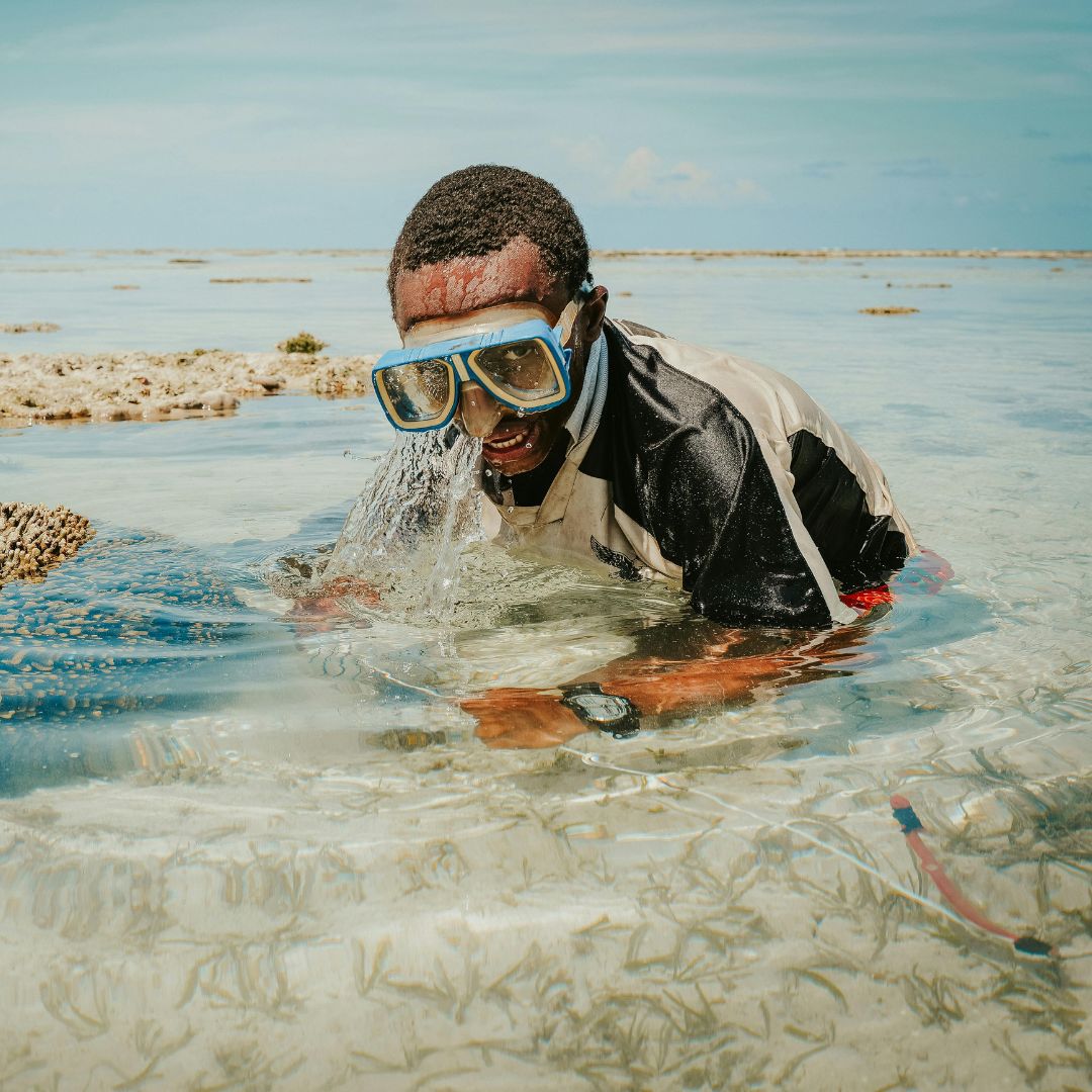 Plongée et Snorkeling en Tanzanie