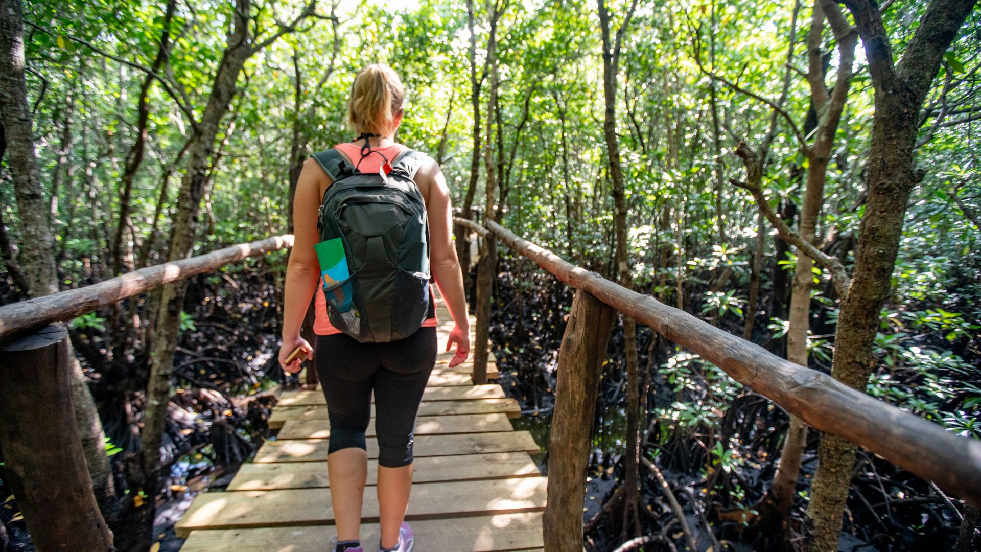 Randonnée dans la Forêt de Jozani