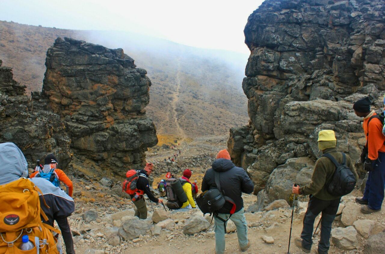 Retour du Kilimandjaro