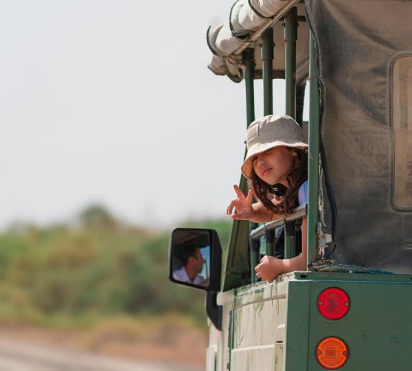 Safari 4x4 famille Tanzanie