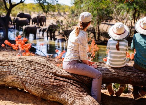 Safari en Tanzanie en Famille