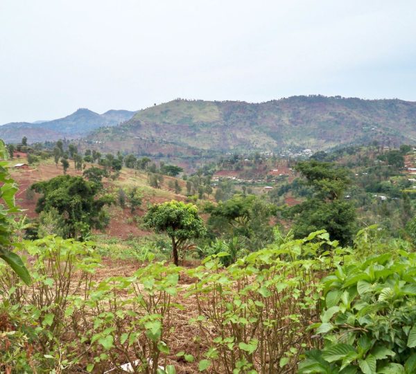 Usambara Mountains