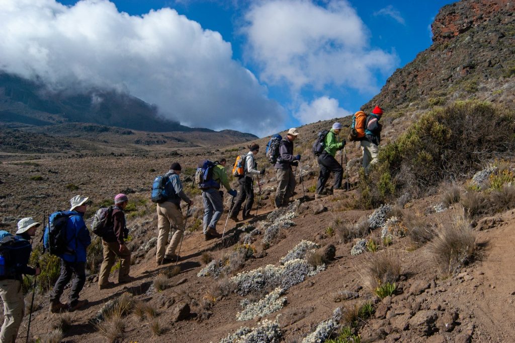 Trekking Kilimandjaro