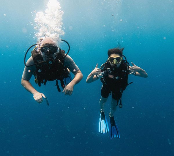 Diving Zanzibar Plongée sous marine