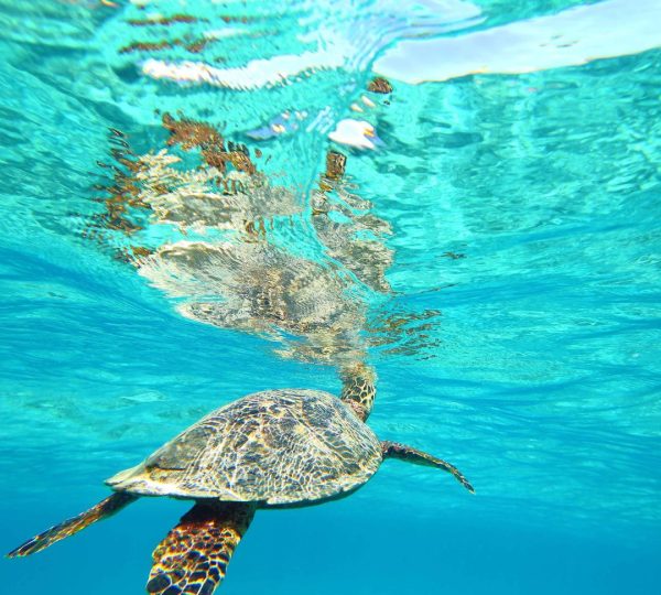 Lune de miel voyage de noces de rêve en Tanzanie
