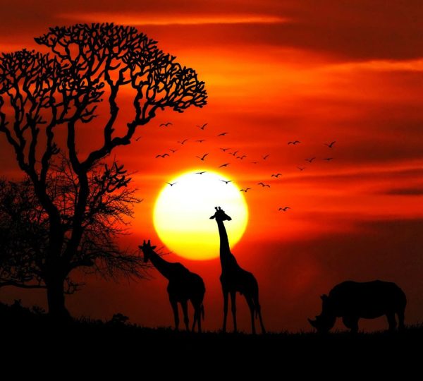 Lune de miel voyage de noces de rêve en Tanzanie